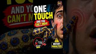 One Touch...And You Can't Move!