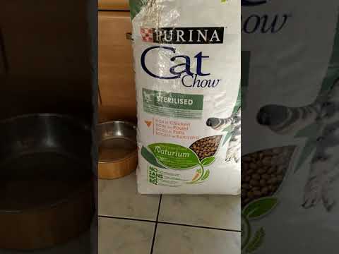 purina cat chow zoomalia