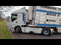 Iveco Stralis 480