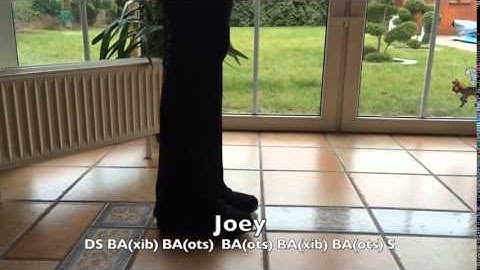 Joey (clogging step)