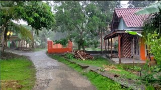 Heavy Rain Falls on My Village in the Afternoon | Fall Asleep To The Sound Of Rain | Heavy Rain Day