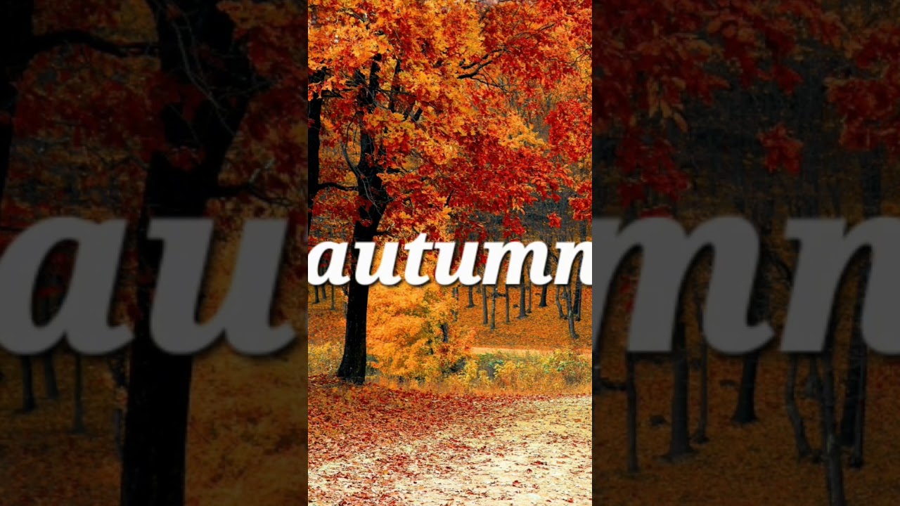 If fall comes soon... 🍂  