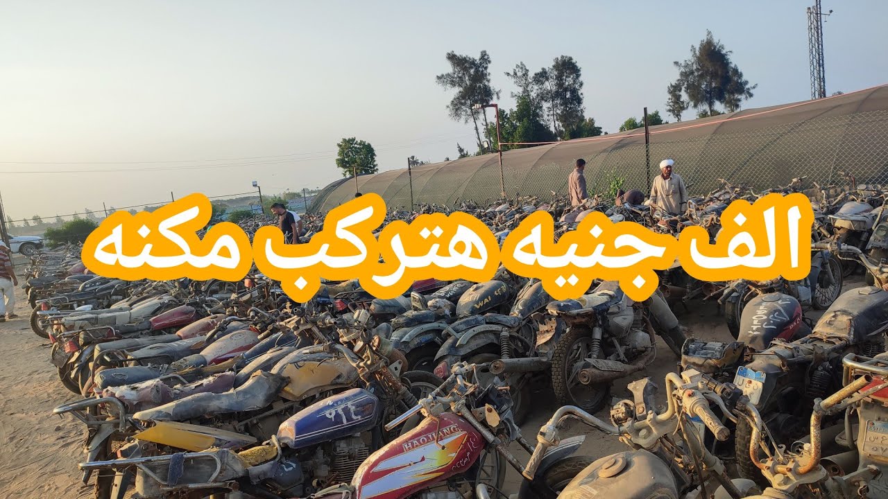 مكن لوط  اسعار ببلاش