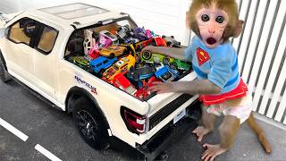 🔴LIVE - Monkey Baby Bon Bon drives a car and plays with puppy and duckling by the track