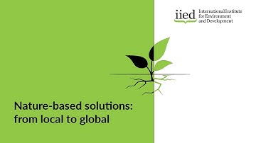 Sharing nature-based solutions for climate and biodiversity