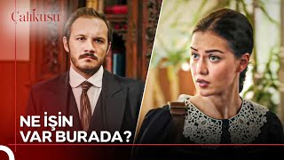 Sen Sürekli Böyle Feridenin Karşısına Mı Çıkacaksın? Çalıkuşu 3. Bölüm