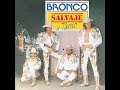 Bronco - Cuatro caballos