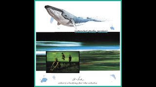 A ha - We&#39;re Looking for The Whales (extended studio version)