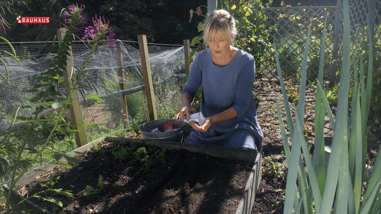 Škola vrtlarstva - što sijemo u rujnu