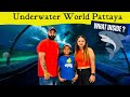 Underwater world pattaya  pattaya travel guide  thailand travel with kids