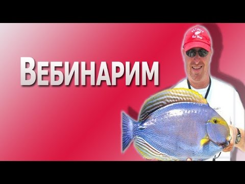 ВЕБИНАР : Нормундс Грабовскис о тонкостях ловли мирной рыбы ВЕБИНАР : Нормундс Грабовскис о тонкостях ловли мирной рыбы