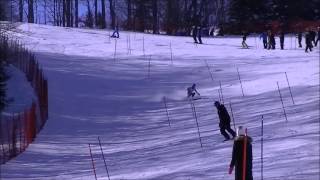 February 28, 2015 Devils Glen U14 Div 1 Girls AOA