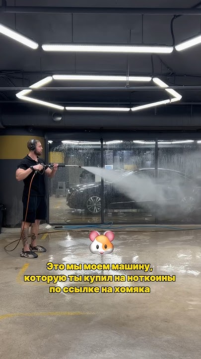 Много тут Хомяков? 🐹 #hamsterkombat #крипта #car #crypto #авто # ...