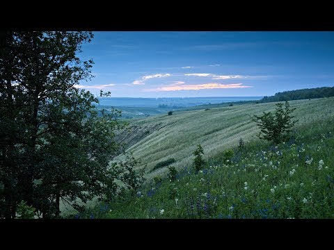 Лекция «Природные экосистемы Куликова поля». Часть 1
