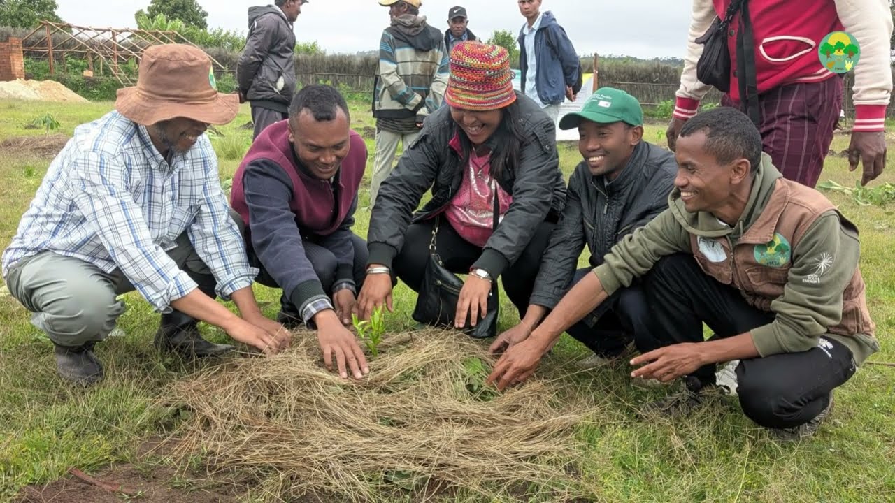 Reboisement FM3A/PACI RN3