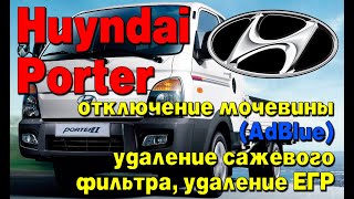 Hyundai Porter: отключение мочевины (AdBlue), удаление сажевого фильтра (DPF),отключение клапана ЕГР