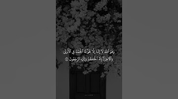 تلاوة خاشعة بصوت القارئ ريان المحيسني.