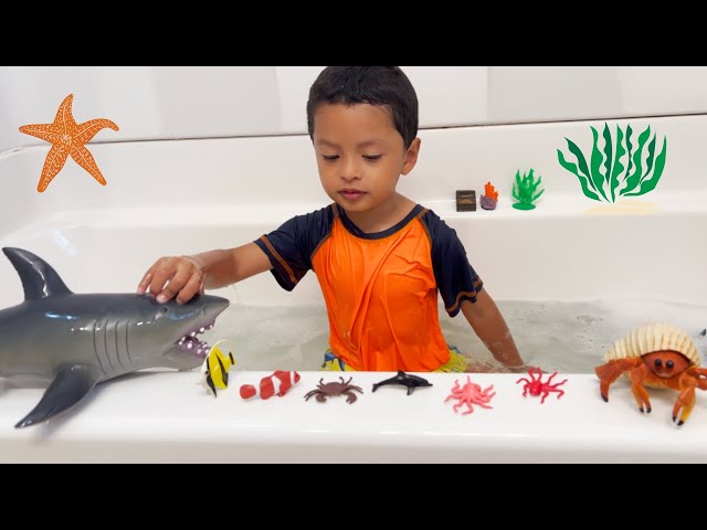 Fun Sea Animal Toys in Bubble Bath! Jeremy Plays with his Collection class=