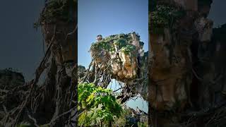 Disney World Morning Briefing: Flight of Passage LL Open 5/23 #Shorts