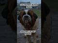 CUJO (2025) Fan-Made Modern Reimagining 🐶