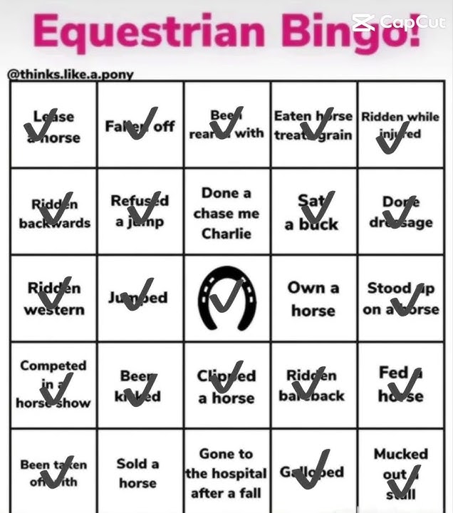 Updatee #equestrain #horse #bingo