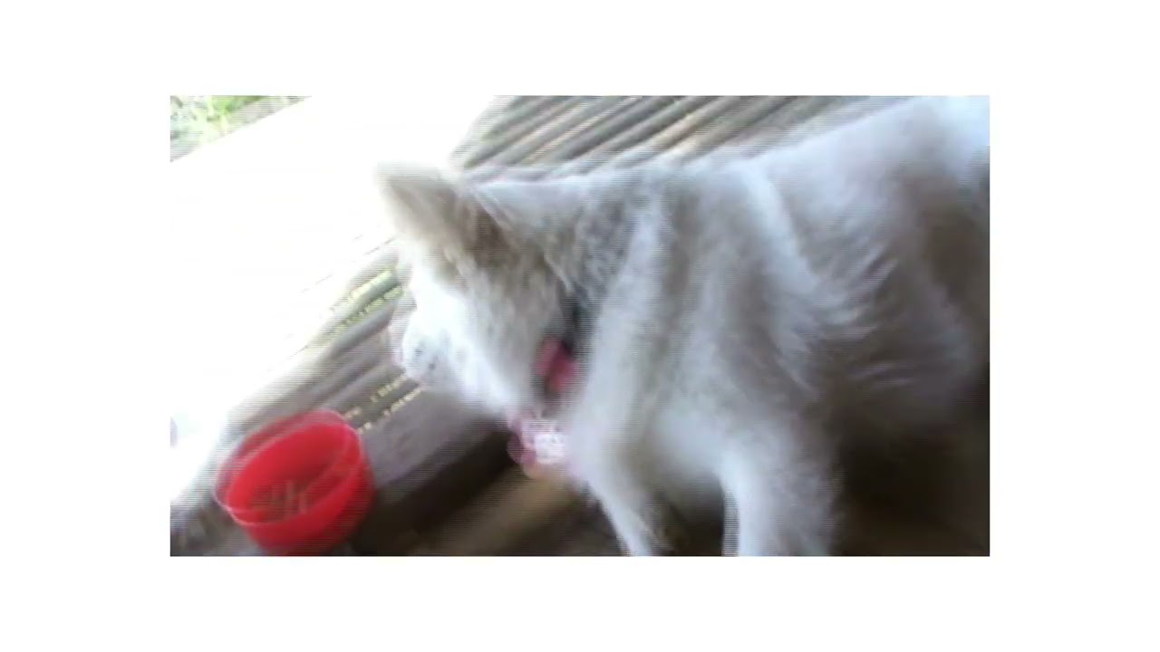 03. rokhumbeu - Duhsam Awmchhun ft. GB King