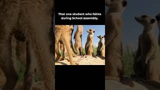 That one student who always faints during school assembly 🤪🤯 #memes #schoolmemes