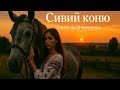 Сивий коню DJHaydamaka Remix Сучасний ремікс української народної пісні