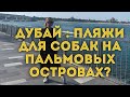 Дубай 2020 / Пляжи для собак в Дубае? На островах Palm Jumeirah ! Обзор пляжа The Pointe