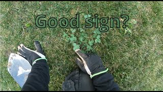 Episode 23 - Revansch på tomt smockfull med spik - Metalldetektering/Metaldetecting i Sverige