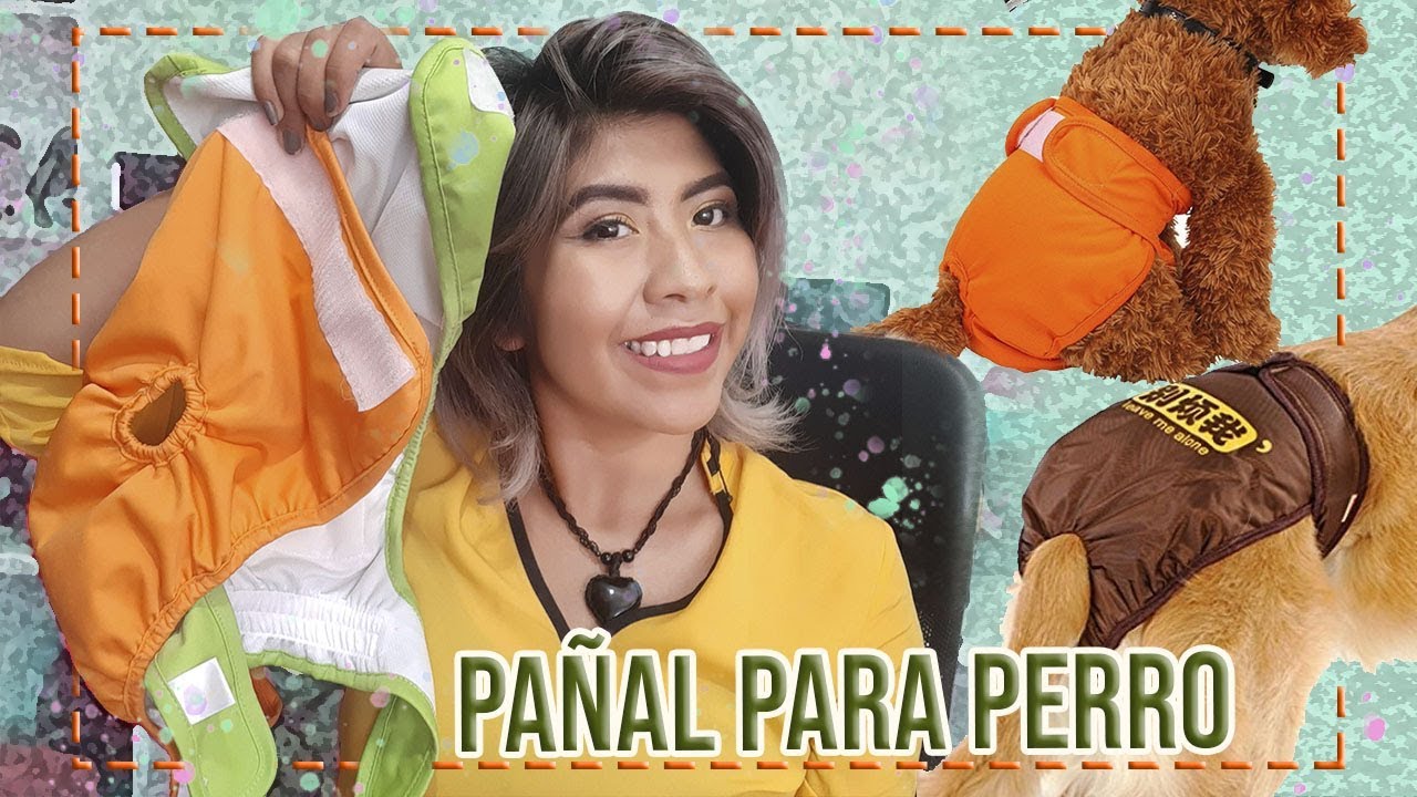 Pañales lavables para perras – Pañales reutilizables de primera calidad  para perras en celo – Pañales para perras altamente absorbentes para