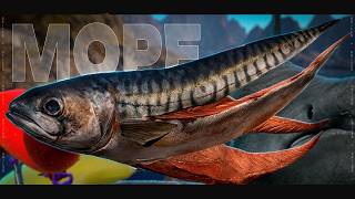 Норвежское море • Морская донная, гремящая, гига джиг • Русская Рыбалка 4