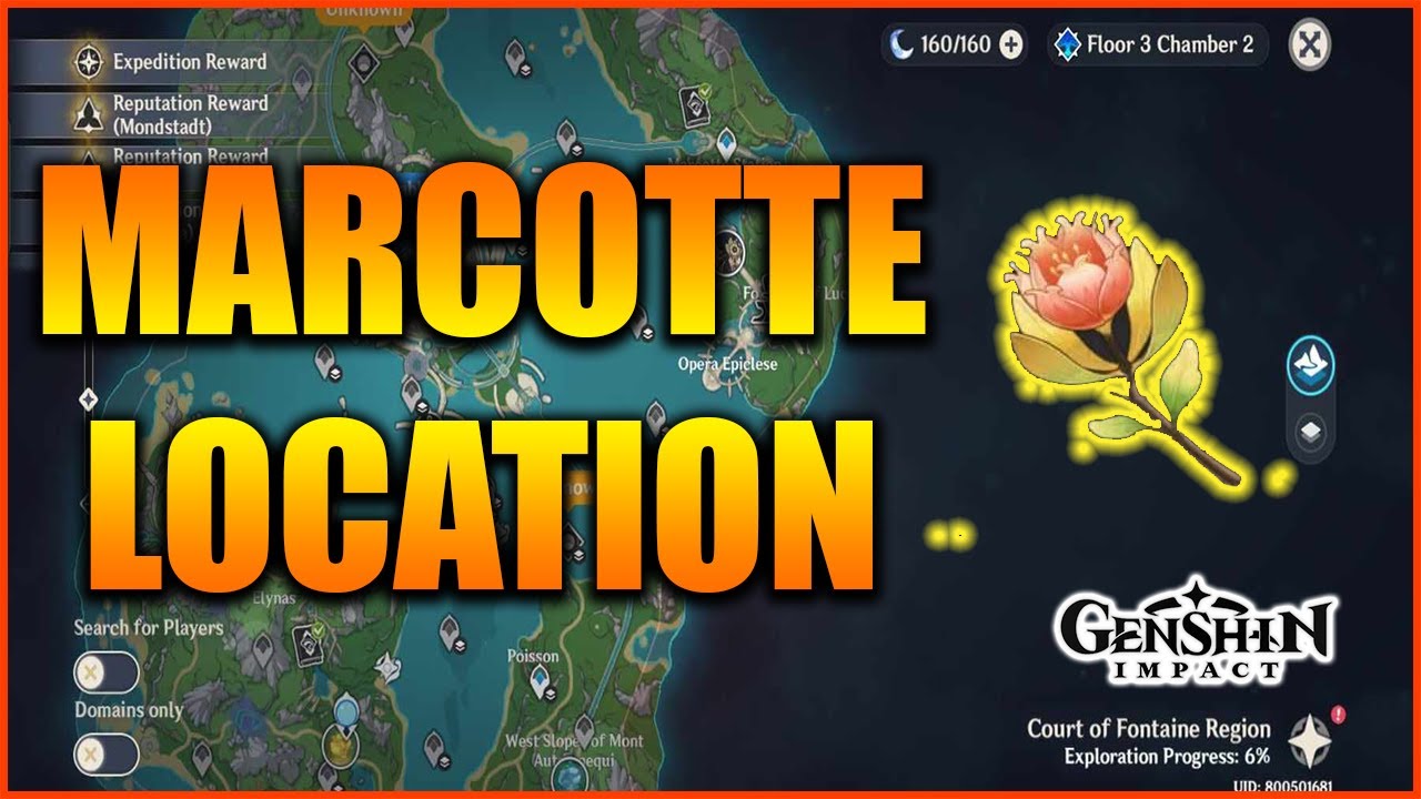 Marcotte Location | Genshin Impact