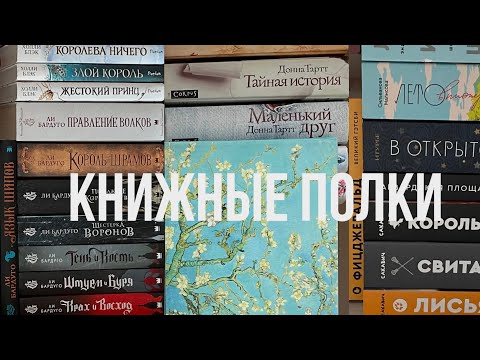 Книжные Полки