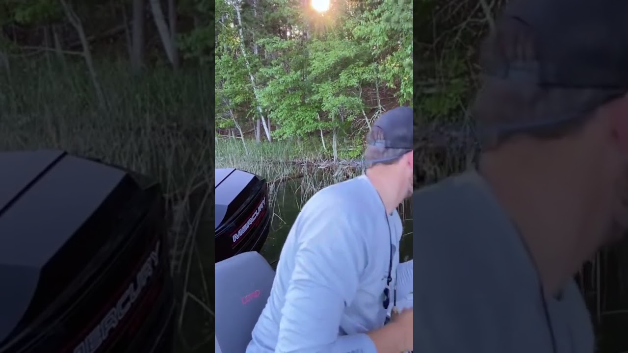 Circle hooks are perfect for catch and release bluegill fishing!