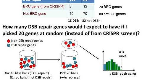 MCB 182 Lecture 5.4 - Gene ontology enrichment analysis