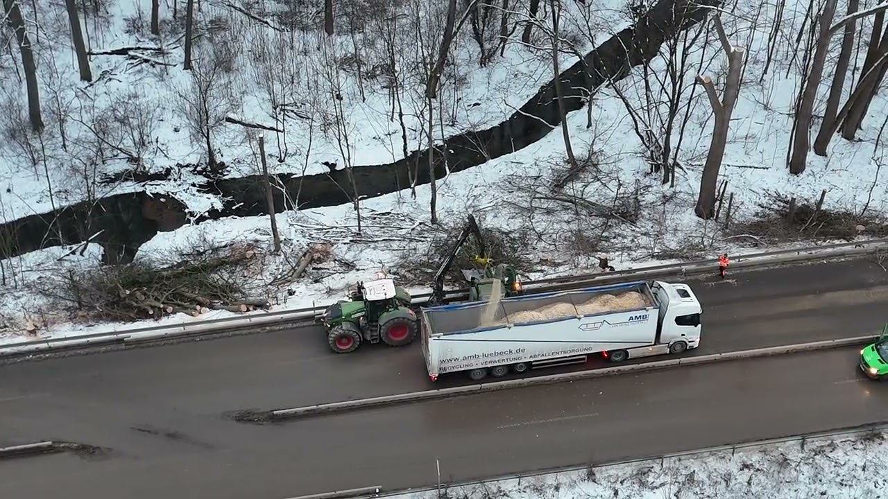 29.1.26 Drohnenaufnahme während der Rodung am Südschnellweg in Hannover in der Leinemasch