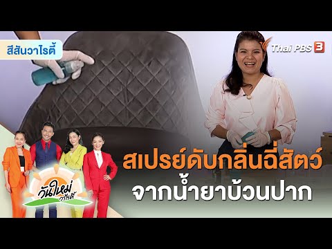 วีดีโอ: วิธีการวัดขนาดของพุดเดิ้ล