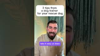 3 tips for your rescue dog’s first week home