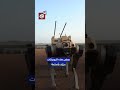 الصين تطو ر ذئاب ا روبوتية للحروب تستطلع وتهاجم وتفك ر جماعي ا