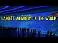 Tour of the WORLD RECORD LARGEST Aquarium 4K (2020)