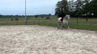 CIMG2806.AVI