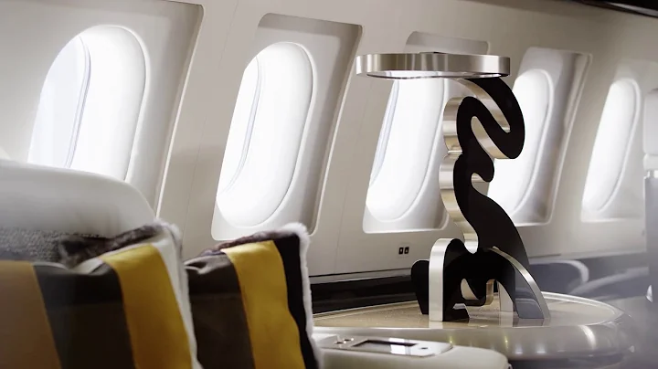 Airbus A319 Corporate Jet by Aberto Pinto Interior...