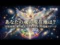 【有料級】あなたの魂の現在地は？12星座別・魂の成長プロセスと4つの覚醒ステージ～前半～