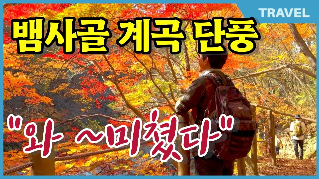 생각하지 않고 찾아간 뱀사골 계곡에서 '인생 단풍을 봤습니다. 가을 단풍의 명소 뱀사골계곡, 와~ "미쳤다" / 와운마을 천년송과 함께한 뱀사골 계곡 단풍은 11월초가 절정 될 듯