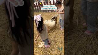 Isengin kambing🐐 ,baby monkey nyusu 🐒#kidslearning  #anakbermain #kidsvlog  #kebunbinatang