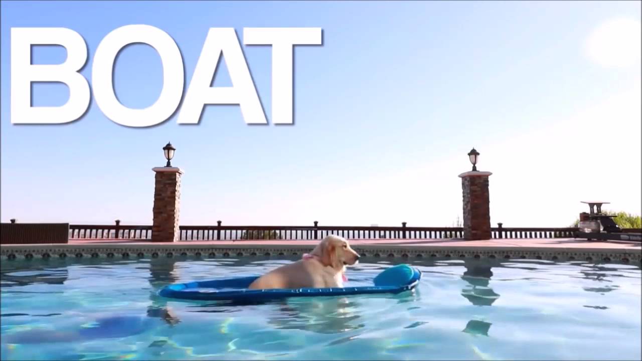 Markiplier's Boat Dog 10 HOUR Loop! - YouTube