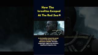 How The Israelites Escaped At The Red Sea 🌊😱🥺 #Shorts #Youtubeshorts #Bible #Catholic #Redsea #Fypシ