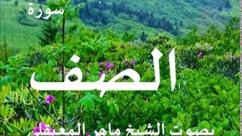 سورة الصف بصوت الشيخ / ماهر المعيقلي 61