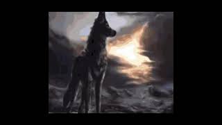 Maroon 5 Animals Werewolf Meme